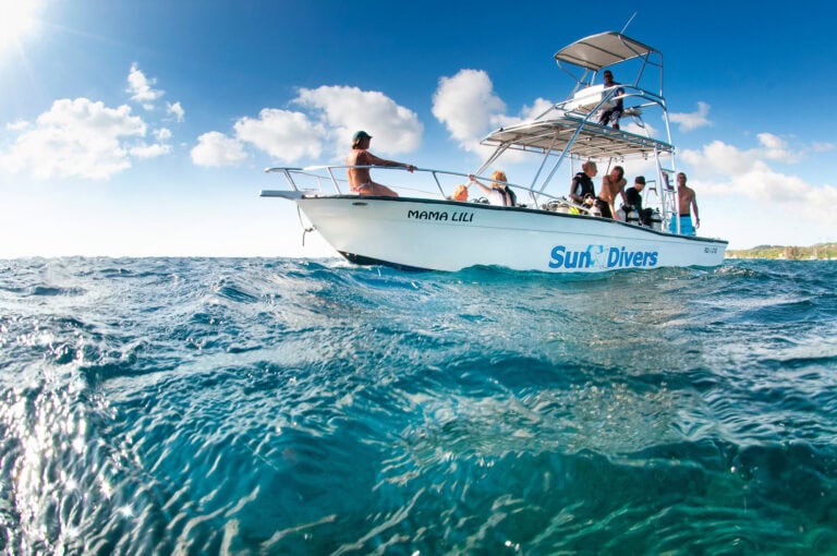 A group of people enjoying a boat excursion on the clear blue waters near Roatan, Honduras with the sun shining brightly in the sky.