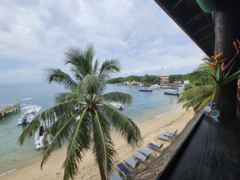 A tropical harbor scene in Roatan, Honduras, featuring palm trees, boats docked in calm water, and beachfront lounge chairs along a sandy shore under a cloudy sky.
