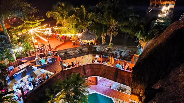 A lively nighttime dining scene on Roatan in Honduras features outdoor seating with tables surrounded by palm trees, string lights illuminating the area, and a thatched-roof bar area overlooking a tropical coastline.