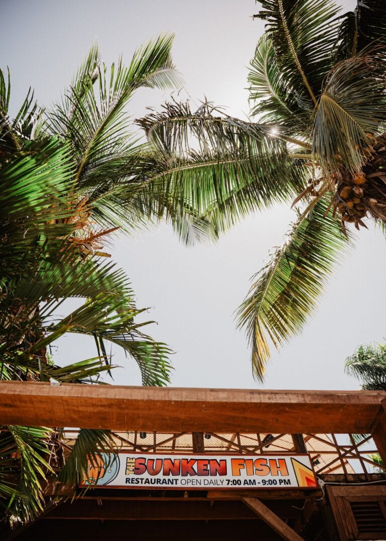 Palm trees with sunlight filtering through their fronds are seen above a wooden structure with a sign for "The Sunken Fish" restaurant in Roatan, Honduras, which displays its daily opening hours from 7:00 AM to 9:00 PM.