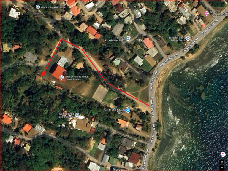 Aerial view of a residential area in Roatan, Honduras, showing a large building labeled Jurassic Giants Roatan near the coast, with a red arrow indicating a walking path through the neighborhood along Flowers Bay Road.