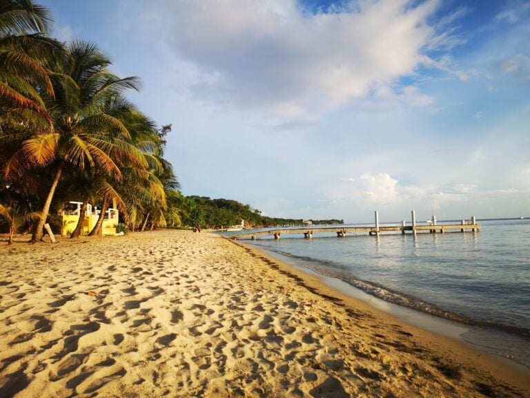 A sandy beach with palm trees and a wooden dock extending into calm, clear waters on Roatan, Honduras, under a partly cloudy sky.