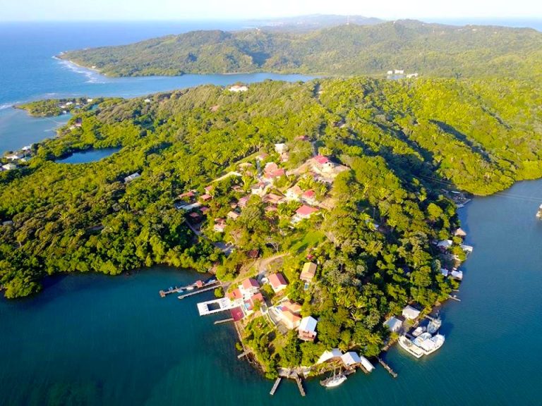 An aerial view of a lush, green peninsula on Roatan, Honduras, featuring residential buildings, docks, and boats along the coastline surrounded by clear blue waters.