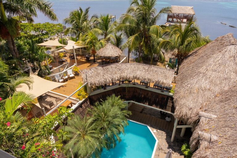 Aerial view of a tropical waterfront resort in Roatan, Honduras, featuring a swimming pool, thatched-roof buildings, lush palm trees, and outdoor dining areas overlooking the ocean.