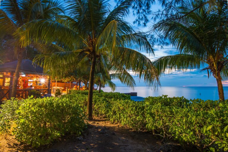 Palm trees and lush greenery line a sandy path along the beach in Roatan, Honduras, with a view of the ocean and a small illuminated restaurant or bar in the background during sunset.