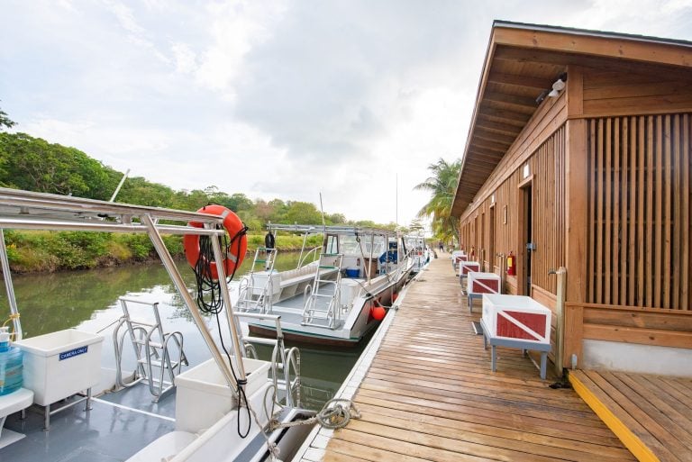 A wooden dock with boats moored alongside and a waterfront building in Roatan, Honduras, surrounded by lush green trees and a cloudy sky.