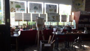 Displays of Mayan artifacts and informational posters about Roatan, Honduras, are showcased inside a cultural or archaeological exhibit space on Roatan, Bay Islands, Honduras.