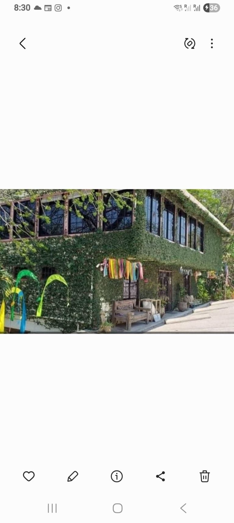 A two-story building in Roatan, Honduras, covered in green ivy with large windows and a colorful striped fabric hanging outside, surrounded by lush trees and decorative items.