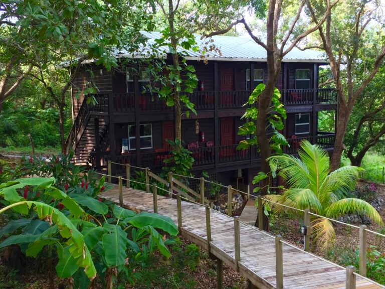 A wooden elevated building with multiple units and a staircase is surrounded by lush tropical trees and plants in Roatan, Honduras.