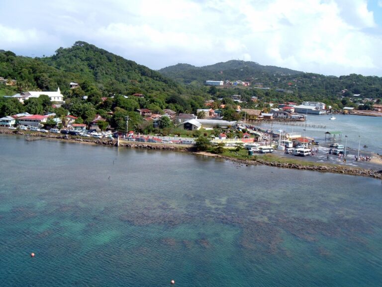 A view of a small harbor with boats and a pier along the shoreline, surrounded by lush green hills and scattered buildings, showcasing the natural beauty of Roatan in Honduras.