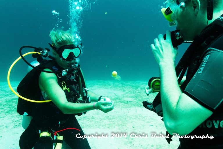 Two people are preparing for a scuba dive underwater near Roatan, Honduras, with one person wearing a wetsuit and scuba gear while the other appears to be instructing or communicating with them.