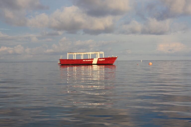 A red boat with a white canopy floats on calm waters off the coast of Roatan, Honduras, under a cloudy sky.