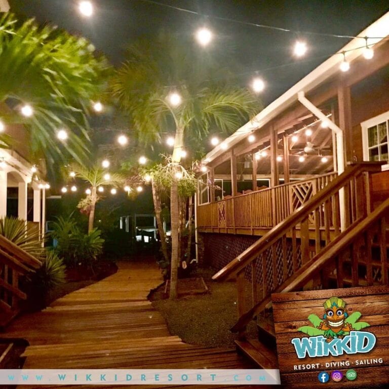 A cozy outdoor dining area on Roatan, Honduras, features wooden stairs, string lights overhead, lush palm trees, and a covered porch with warm lighting.