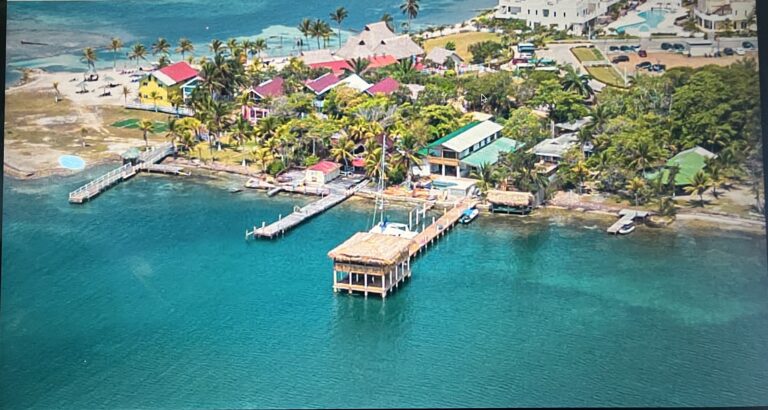 An aerial view of a colorful seaside resort with thatched and red-roofed buildings, palm trees, and multiple docks extending into the clear blue waters of Roatan, Honduras.