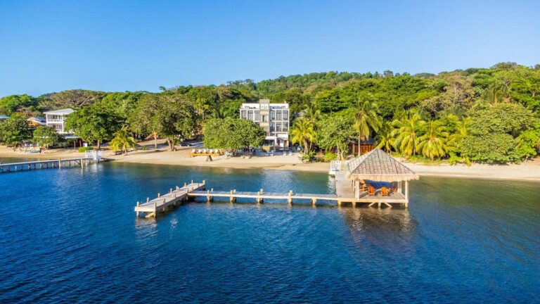 An aerial view of a tropical beachfront in Roatan, Honduras, featuring a wooden dock with a thatched gazebo extending over clear blue water, lush green trees lining the sandy shoreline, and modern buildings nestled among the foliage.