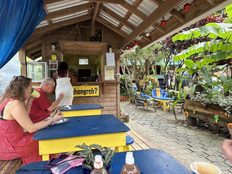 Yahongreh Gallery Roatan 3